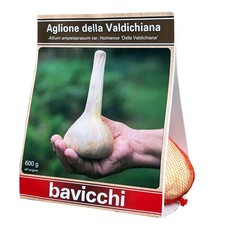 AGLIONE DELLA VALDICHIANA, PIANTA ORTO