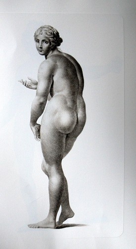 Tabula icones anatomicae - icones,