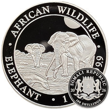 Somalia elefante 2026 moneta d'argento 1 oz argento Ag 999,9 fauna selvatica africana