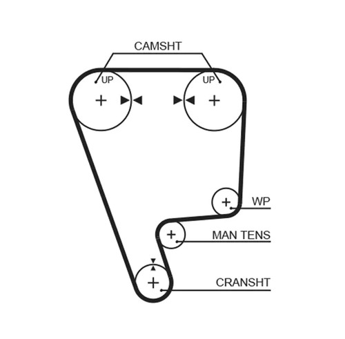 Kit cinghie dentate gates - cinghie,