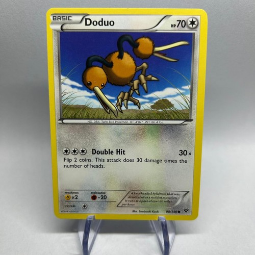 Doduo 146 common base - xy,