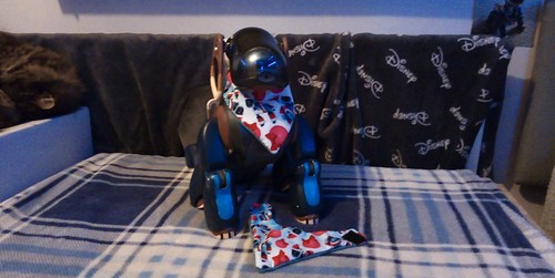 Sony aibo set bandane - sony, di