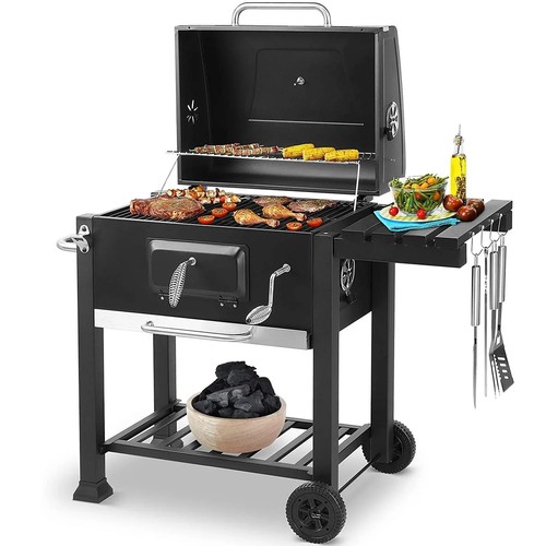 Barbecue griglia professionale - barbecue,