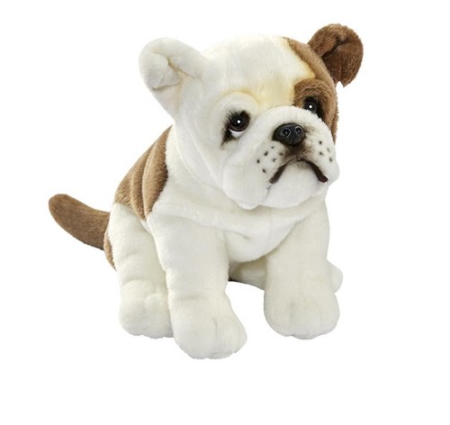Anima 1643 bulldog - bulldog, 30