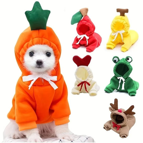Carino frutta cane - frutta,