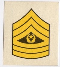 figurine MILITARY COATS OF