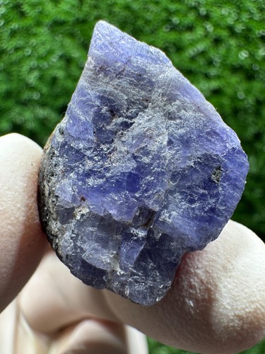 Wow cristallo tanzanite con - wow!,