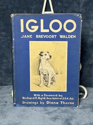 Igloo jane brevoort - jane, walden