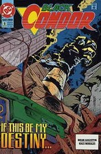 Black Condor #6 FN; DC | Brian