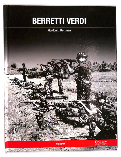 Ebond berretti verdi - berretti, gordon