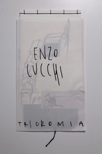 Libri enzo cucchi pesato - enzo,