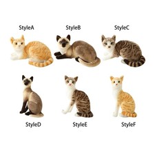 Simulazione gatti siamesi - simulazione,