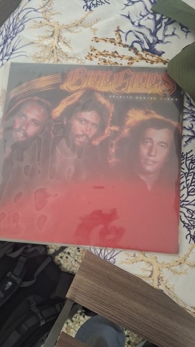 Bee gees spirits - having, flown