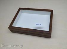 scatola entomologica legno MARRONE 19X26 plastazote entomologia cassetta insetti