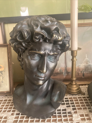 Statua busto david - busto,