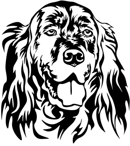 Adesivo setter inglese - inglese,