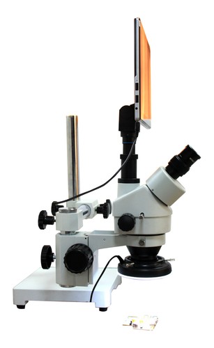 Microscopio stereo braccio - a,
