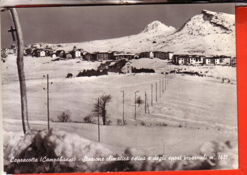 Cartolina capracotta b n - cartolina,