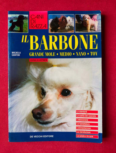 Cani razza il barbone - cani, di