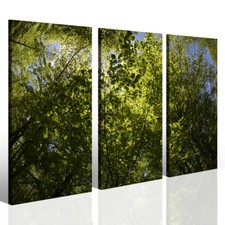 Modern Paintings Canvas Prints