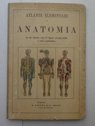 Atlante elementare anatomia - atlante,