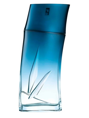 Kenzo homme eau parfum 100 - ,