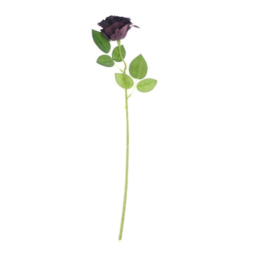 Rose flower bouquet - ,