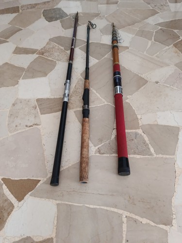 Canne pesca - canne, da