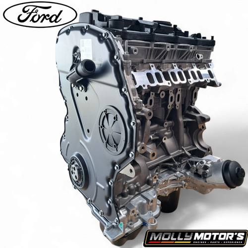 Motore originale ford ranger - motore,