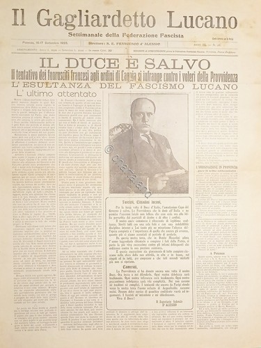 Settimanale federazione - settimanale,
