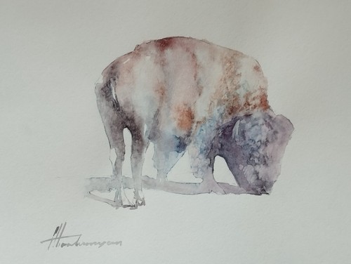 Bisonte animale opera d arte - bisonte,, animale,