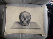 Disegno Di Un Teschio ( Del