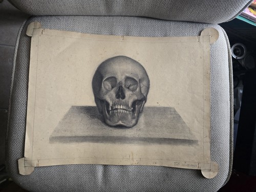 Disegno teschio del - disegno, un