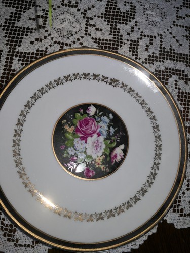 Piatto stupendo vintage - stupendo,