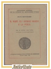IL MARE GLI ANIMALI MARINI E