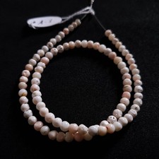 Autentico corallo bianco