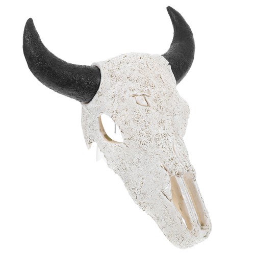 Teschio mucca ornamenti - , di