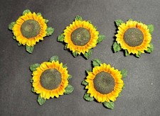 Set 5 magneti per frigorifero