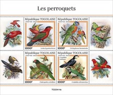 PARROTS Pappagallo Tropical