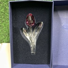 Fiore tulipano rosa - fiore,