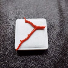 Ramo di corallo rosso naturale