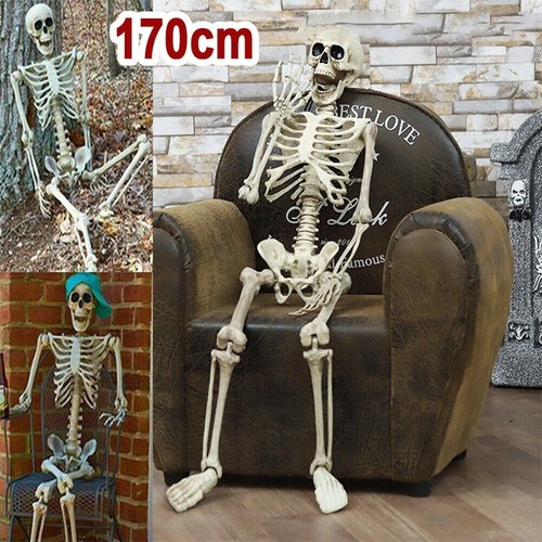 Scheletro decorativo 170cm - scheletro,
