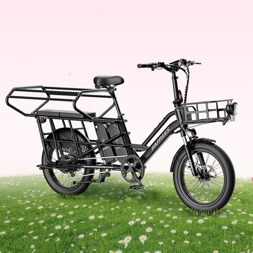 Bici elettrica due - bici,