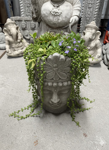 Fioriera testa buddha - di,