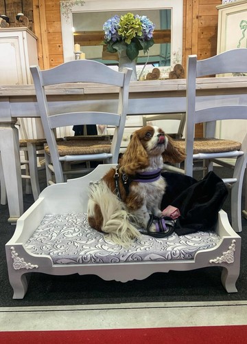 Letto per cani - per,
