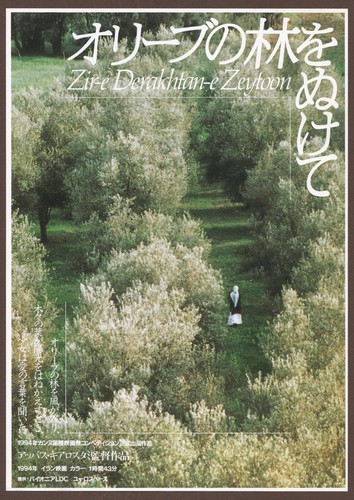 Attraverso gli ulivi 1994 - , raro