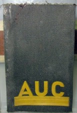 PAIR OF CAMOUFLAGE STRAPS AUC