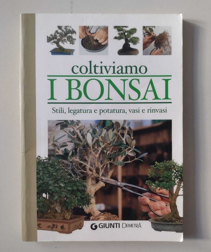 Coltiviamo bonsai stili - bonsai:,