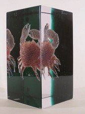 UNIQUE SOMMERSO Murano glass