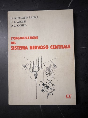 Organizzazione del sistema - del,